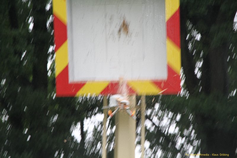 vogel16_185