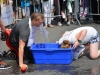 dorffest2015_036.jpg