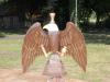 IMG_3047-Copy