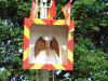 vogelschiessen073